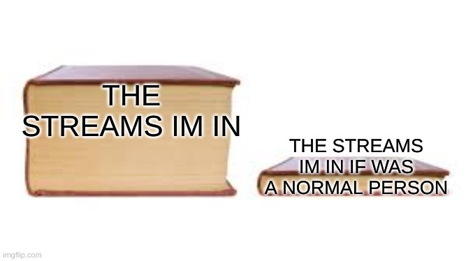 bruh its true | THE STREAMS IM IN; THE STREAMS IM IN IF WAS A NORMAL PERSON | image tagged in big book small book | made w/ Imgflip meme maker