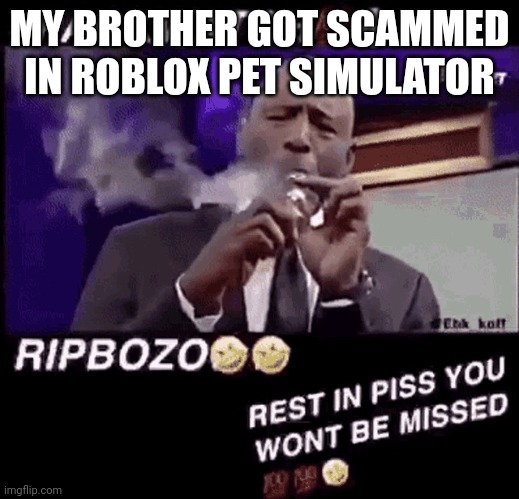 he was trying to trade for "Robux code" | MY BROTHER GOT SCAMMED IN ROBLOX PET SIMULATOR | image tagged in smoking that pack | made w/ Imgflip meme maker