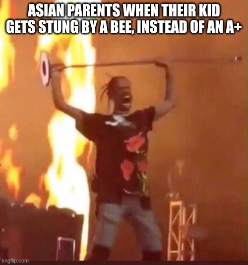 Travis Scott  | ASIAN PARENTS WHEN THEIR KID GETS STUNG BY A BEE, INSTEAD OF AN A+ | image tagged in travis scott,funny memes | made w/ Imgflip meme maker