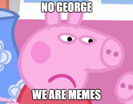 Angry Peppa Pig | NO GEORGE; WE ARE MEMES | image tagged in angry peppa pig | made w/ Imgflip meme maker