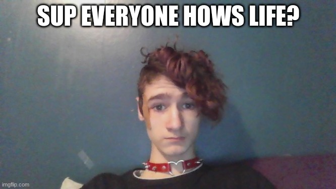 SUP EVERYONE HOWS LIFE? | made w/ Imgflip meme maker