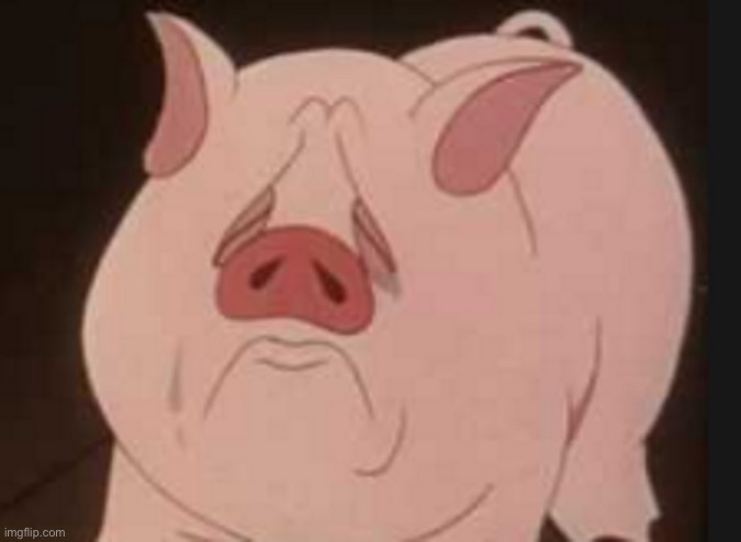 Tired Pig | image tagged in tired pig | made w/ Imgflip meme maker