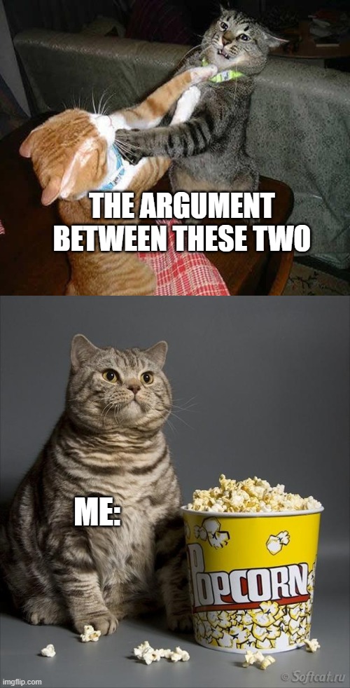 Cat watching other cats fight | THE ARGUMENT BETWEEN THESE TWO ME: | image tagged in cat watching other cats fight | made w/ Imgflip meme maker