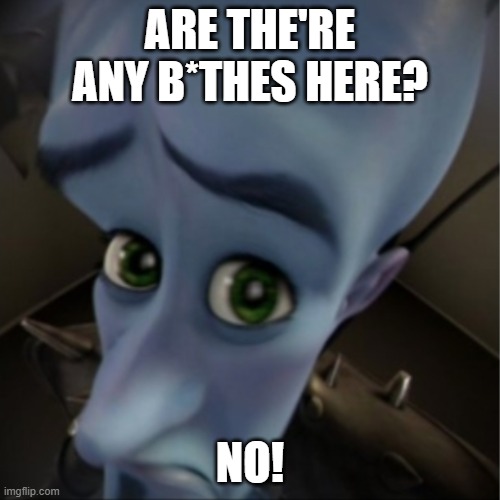 Megaming peeking | ARE THE'RE ANY B*THES HERE? NO! | image tagged in megamind peeking | made w/ Imgflip meme maker