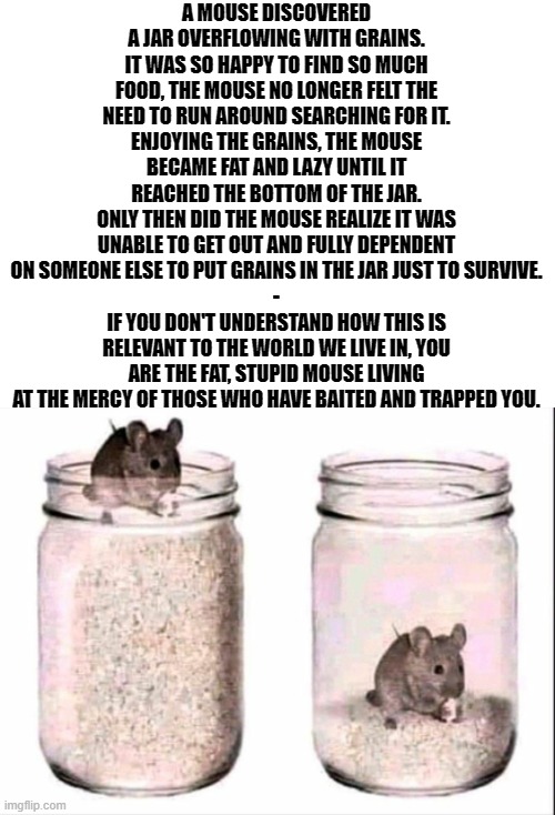 A MOUSE DISCOVERED A JAR OVERFLOWING WITH GRAINS. IT WAS SO HAPPY TO FIND SO MUCH FOOD, THE MOUSE NO LONGER FELT THE NEED TO RUN AROUND SEARCHING FOR IT.
ENJOYING THE GRAINS, THE MOUSE BECAME FAT AND LAZY UNTIL IT REACHED THE BOTTOM OF THE JAR.
ONLY THEN DID THE MOUSE REALIZE IT WAS UNABLE TO GET OUT AND FULLY DEPENDENT ON SOMEONE ELSE TO PUT GRAINS IN THE JAR JUST TO SURVIVE.
-
IF YOU DON'T UNDERSTAND HOW THIS IS RELEVANT TO THE WORLD WE LIVE IN, YOU ARE THE FAT, STUPID MOUSE LIVING AT THE MERCY OF THOSE WHO HAVE BAITED AND TRAPPED YOU. | image tagged in socialism,communism,marxism,mouse | made w/ Imgflip meme maker