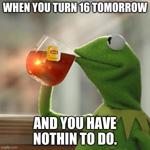 help  me | WHEN YOU TURN 16 TOMORROW; AND YOU HAVE NOTHIN TO DO. | image tagged in memes,but that's none of my business,kermit the frog | made w/ Imgflip meme maker