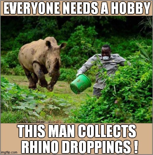 Making Life Hard For Yourself ! | EVERYONE NEEDS A HOBBY; THIS MAN COLLECTS   RHINO DROPPINGS ! | image tagged in rhino,droppings,hobby | made w/ Imgflip meme maker