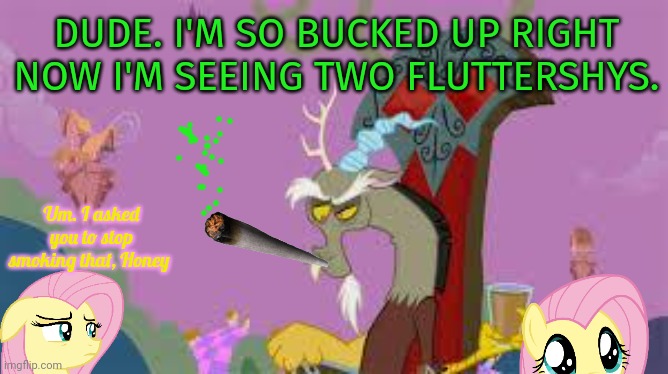 420 | DUDE. I'M SO BUCKED UP RIGHT NOW I'M SEEING TWO FLUTTERSHYS. Um. I asked you to stop smoking that, Honey | image tagged in discord,happy 420,smoke weed everyday,mlp | made w/ Imgflip meme maker