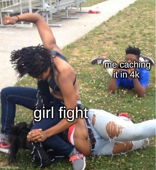 Guy recording a fight | me caching it in 4k; girl fight | image tagged in guy recording a fight | made w/ Imgflip meme maker
