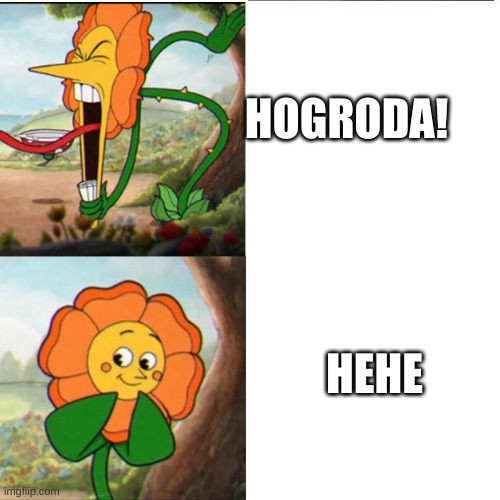 Cuphead Flower | HOGRODA! HEHE | image tagged in cuphead flower | made w/ Imgflip meme maker