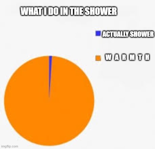 Shower | WHAT I DO IN THE SHOWER; ACTUALLY SHOWER; W   A   R   M   T   H | image tagged in pie chart meme | made w/ Imgflip meme maker