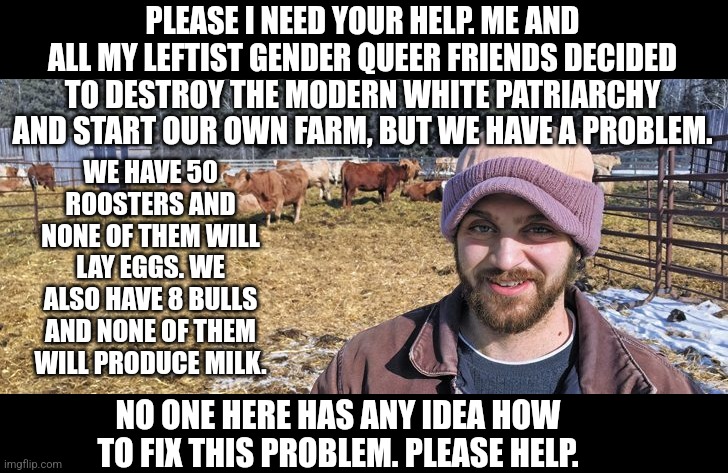 Please help my poor leftist friend | PLEASE I NEED YOUR HELP. ME AND ALL MY LEFTIST GENDER QUEER FRIENDS DECIDED TO DESTROY THE MODERN WHITE PATRIARCHY AND START OUR OWN FARM, BUT WE HAVE A PROBLEM. WE HAVE 50 ROOSTERS AND NONE OF THEM WILL LAY EGGS. WE ALSO HAVE 8 BULLS AND NONE OF THEM WILL PRODUCE MILK. NO ONE HERE HAS ANY IDEA HOW TO FIX THIS PROBLEM. PLEASE HELP. | made w/ Imgflip meme maker