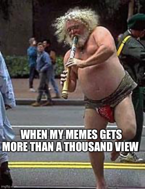 True | WHEN MY MEMES GETS MORE THAN A THOUSAND VIEW | image tagged in fluteman | made w/ Imgflip meme maker