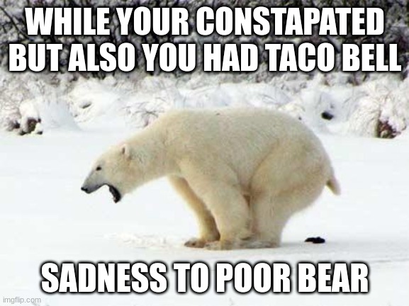 poop | WHILE YOUR CONSTAPATED BUT ALSO YOU HAD TACO BELL; SADNESS TO POOR BEAR | image tagged in polar bear shits in the snow | made w/ Imgflip meme maker