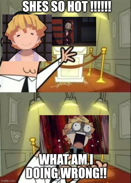 zeni-simp | SHES SO HOT !!!!!! WHAT AM I DOING WRONG!! | image tagged in memes,this is where i'd put my trophy if i had one | made w/ Imgflip meme maker