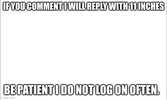 LOL | IF YOU COMMENT I WILL REPLY WITH 11 INCHES; BE PATIENT I DO NOT LOG ON OFTEN. | image tagged in white background | made w/ Imgflip meme maker