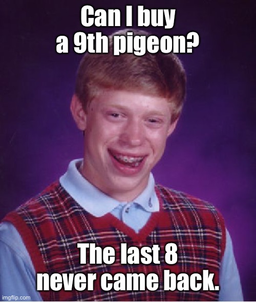 Bad Luck Brian Meme | Can I buy a 9th pigeon? The last 8 never came back. | image tagged in memes,bad luck brian | made w/ Imgflip meme maker
