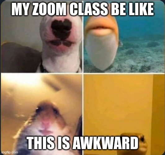 zoom class | MY ZOOM CLASS BE LIKE; THIS IS AWKWARD | image tagged in online classes | made w/ Imgflip meme maker