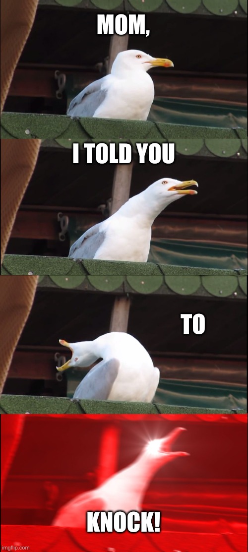 Knock please | MOM, I TOLD YOU; TO; KNOCK! | image tagged in memes,inhaling seagull | made w/ Imgflip meme maker