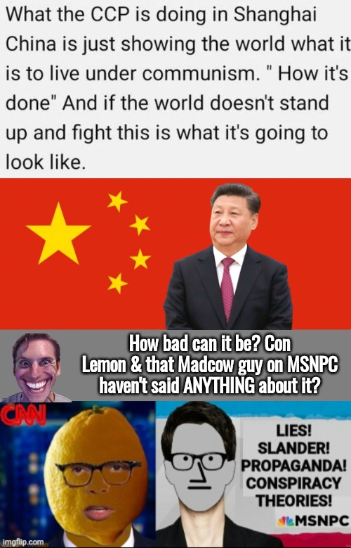 Fake news gets shanghaid |  How bad can it be? Con Lemon & that Madcow guy on MSNPC haven't said ANYTHING about it? | image tagged in china flag,blank grey | made w/ Imgflip meme maker