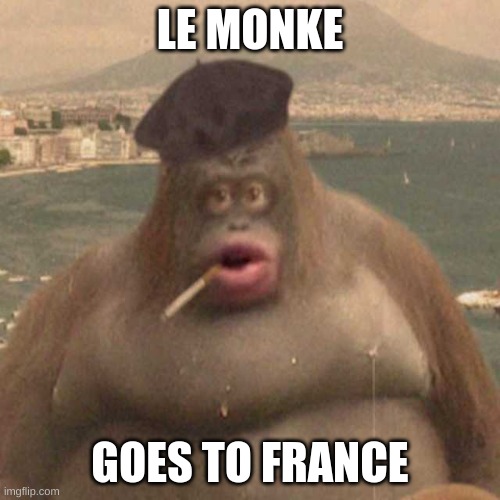 LE MONKE; GOES TO FRANCE | image tagged in le monke | made w/ Imgflip meme maker