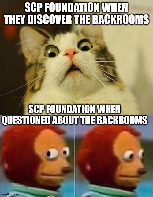 And yes, I know the backrooms are not an scp | image tagged in the backrooms,scp | made w/ Imgflip meme maker