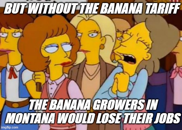 / | BUT WITHOUT THE BANANA TARIFF THE BANANA GROWERS IN MONTANA WOULD LOSE THEIR JOBS | image tagged in rmk | made w/ Imgflip meme maker