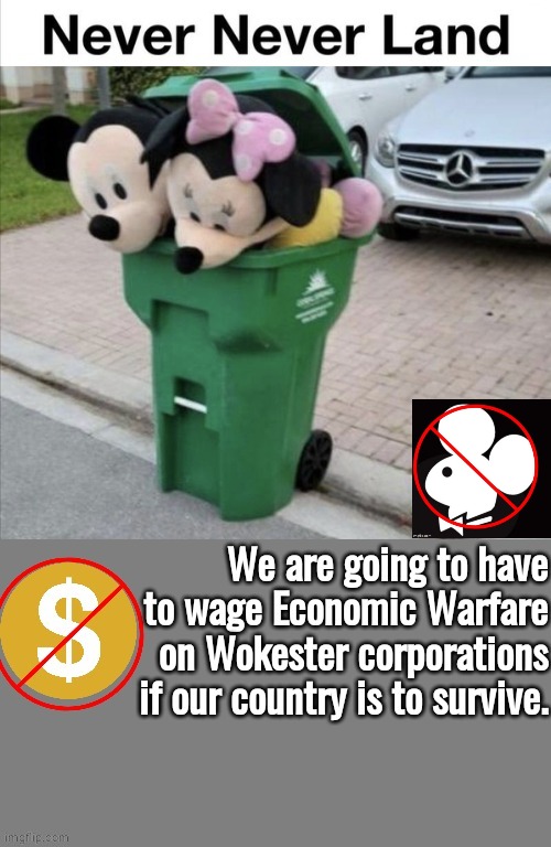 Wage economic war on Wokester corporations | image tagged in mickey mouse | made w/ Imgflip meme maker
