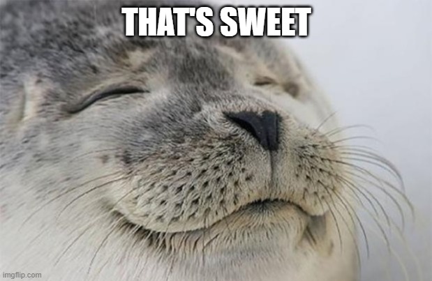 Wholesome Seal | THAT'S SWEET | image tagged in wholesome seal | made w/ Imgflip meme maker