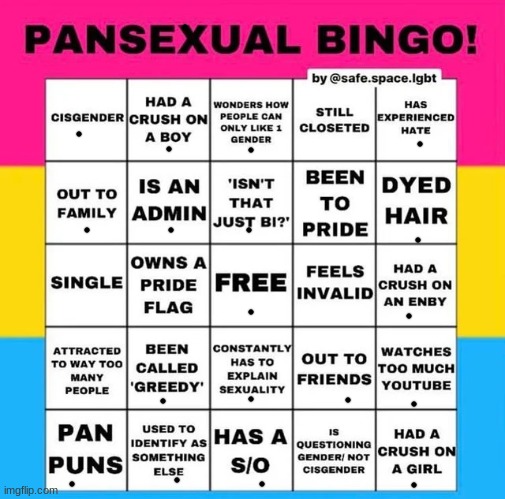 Pansexual Bingo | image tagged in pansexual bingo | made w/ Imgflip meme maker