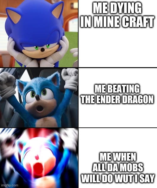 sonic woohoo | ME DYING IN MINE CRAFT; ME BEATING THE ENDER DRAGON; ME WHEN ALL DA MOBS WILL DO WUT I SAY | image tagged in sonic woohoo | made w/ Imgflip meme maker