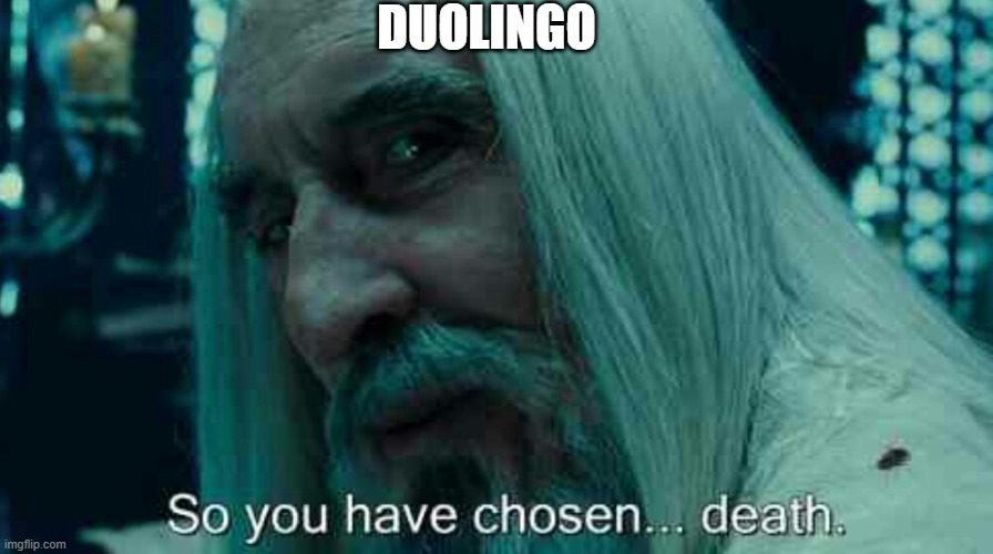 So you have chosen death | DUOLINGO | image tagged in so you have chosen death | made w/ Imgflip meme maker
