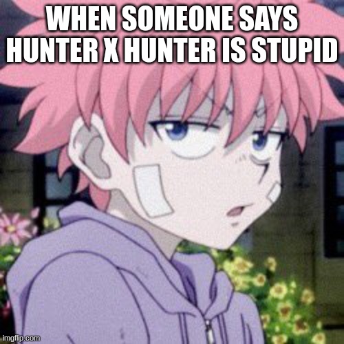 Hunter x Hunter | WHEN SOMEONE SAYS HUNTER X HUNTER IS STUPID | image tagged in killua,killua with pink hair,anime,lorrainelovesanime,when someone says hunter x hunter is stupid | made w/ Imgflip meme maker