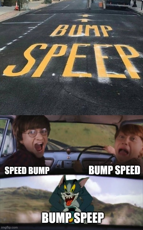 Bump Speep | BUMP SPEED; SPEED BUMP; BUMP SPEEP | image tagged in tom chasing harry and ron weasly,speed bump,you had one job,memes,meme,road | made w/ Imgflip meme maker