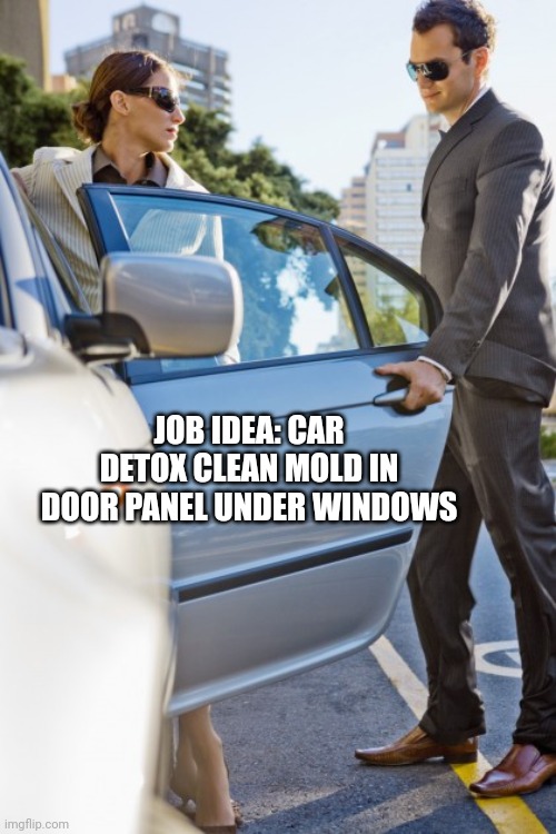 car detoxer | JOB IDEA: CAR DETOX CLEAN MOLD IN DOOR PANEL UNDER WINDOWS | image tagged in car door | made w/ Imgflip meme maker