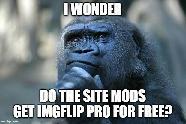 Because if it did, then its peak stupidity | I WONDER; DO THE SITE MODS GET IMGFLIP PRO FOR FREE? | image tagged in deep thoughts | made w/ Imgflip meme maker