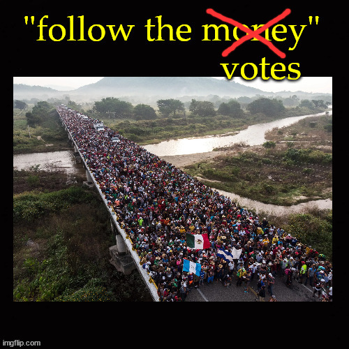 can't follow the money, must follow the votes | image tagged in immigration | made w/ Imgflip meme maker