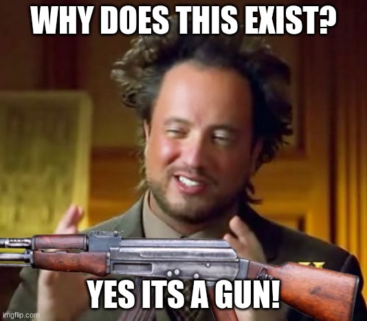 Guy brings gun into a History episode | WHY DOES THIS EXIST? YES ITS A GUN! | image tagged in funny memes,veterans | made w/ Imgflip meme maker