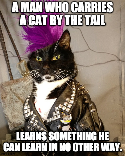 Don't spit into the wind. |  A MAN WHO CARRIES A CAT BY THE TAIL; LEARNS SOMETHING HE CAN LEARN IN NO OTHER WAY. | image tagged in punk rock,life lessons,cat fight | made w/ Imgflip meme maker
