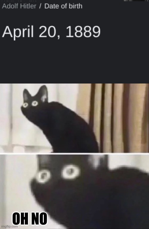That´s today | OH NO | image tagged in oh no black cat | made w/ Imgflip meme maker