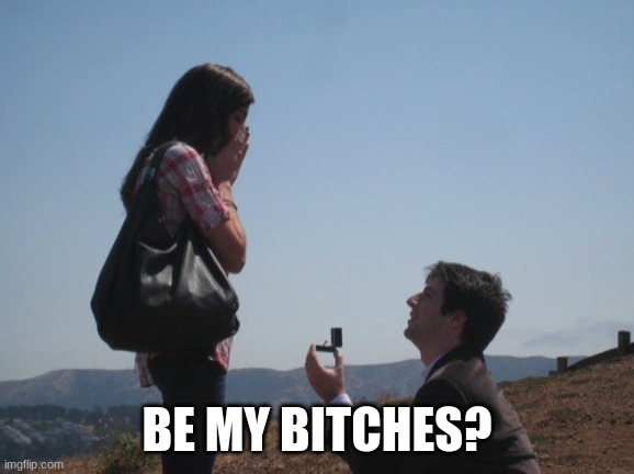 Marriage proposal | BE MY BITCHES? | image tagged in marriage proposal | made w/ Imgflip meme maker