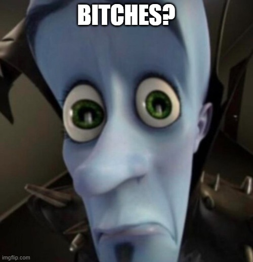 bitches? | BITCHES? | image tagged in bitches | made w/ Imgflip meme maker