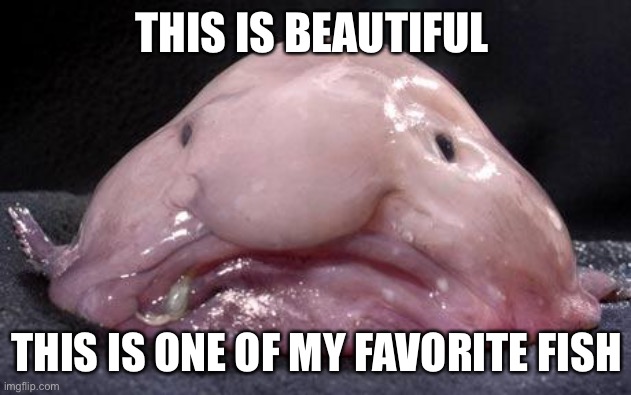 The blobfish is the best fish in the ocean, change my mind | THIS IS BEAUTIFUL; THIS IS ONE OF MY FAVORITE FISH | image tagged in blobfish | made w/ Imgflip meme maker