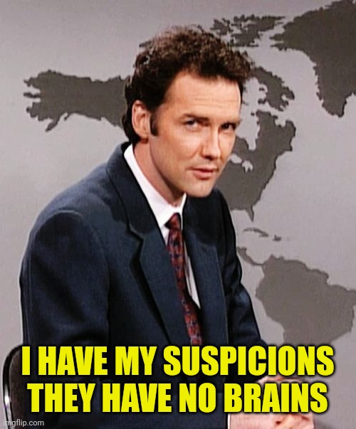 Norm MacDonald | I HAVE MY SUSPICIONS THEY HAVE NO BRAINS | image tagged in norm macdonald | made w/ Imgflip meme maker