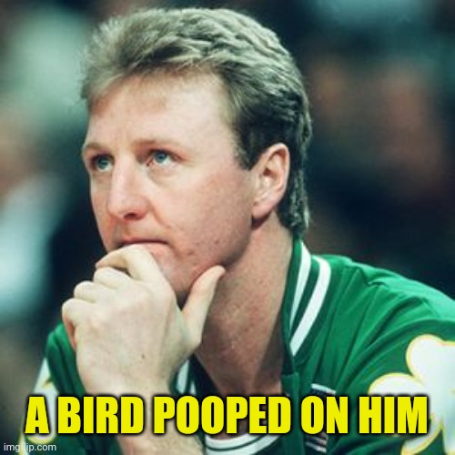 Larry Bird | A BIRD POOPED ON HIM | image tagged in larry bird | made w/ Imgflip meme maker