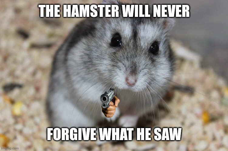 my hamster | THE HAMSTER WILL NEVER FORGIVE WHAT HE SAW | image tagged in my hamster | made w/ Imgflip meme maker
