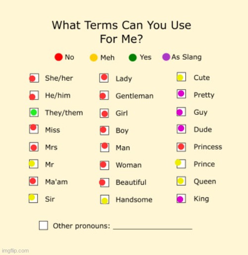 idk | image tagged in pronouns sheet | made w/ Imgflip meme maker