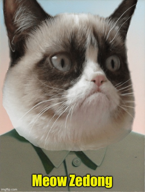 Kitties Republic of China | Meow Zedong | image tagged in mao zedong | made w/ Imgflip meme maker