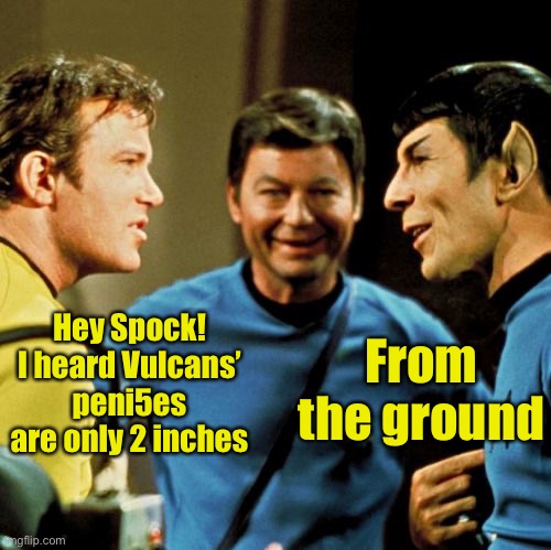 From the ground; Hey Spock! I heard Vulcans’ peni5es are only 2 inches | image tagged in spock does have a sense of humor,memes,spock,star trek | made w/ Imgflip meme maker