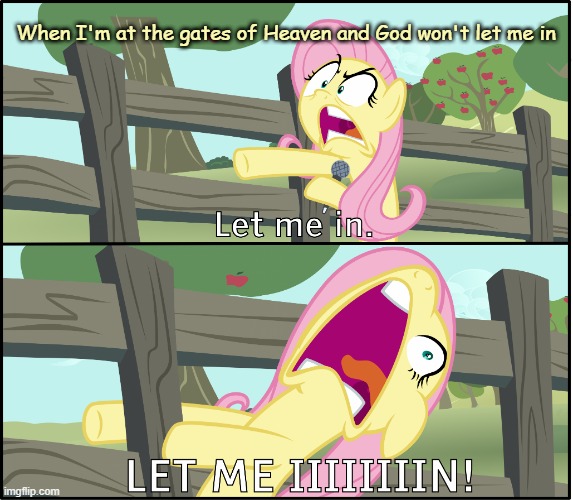 Fluttershy "Let Me In!" | When I'm at the gates of Heaven and God won't let me in | image tagged in fluttershy let me in,my little pony,mlp,funny,funny meme,funny memes | made w/ Imgflip meme maker